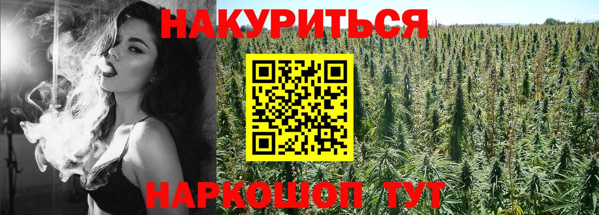 Кольчугино  МАРИХУАНА VHQ  Вход с VPN  Бошки марихуана SATIVA & INDICA  Конопля сатива 